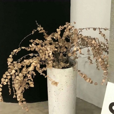 Furry插画元素设计技巧FurryQQ群